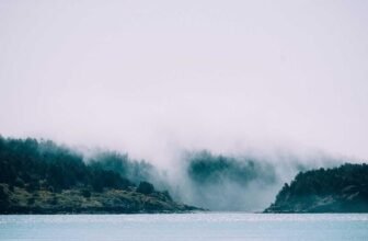 Best Air Fryer Under $100 – Top Picks Reviewed & Compared