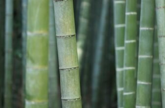 Best Blender for Smoothies 2025 – Tested & Ranked