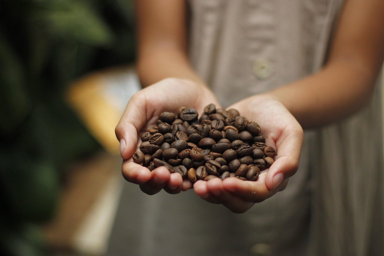 kaffee, kaffeebohnen, aroma, geröstet, bohnen, espresso, cappuccino, koffein, kaffee auf die hand, kaffee, kaffeebohnen, kaffeebohnen, kaffeebohnen, kaffeebohnen, kaffeebohnen
