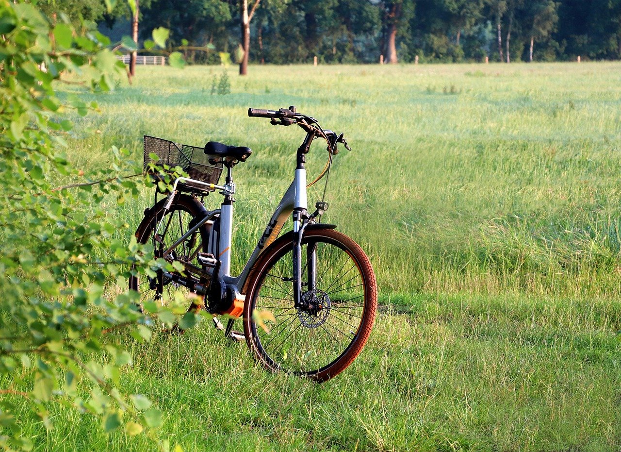 e bike, fahrrad, feld, elektro bike, ebike, wiese, e bike, ebike, ebike, ebike, ebike, ebike