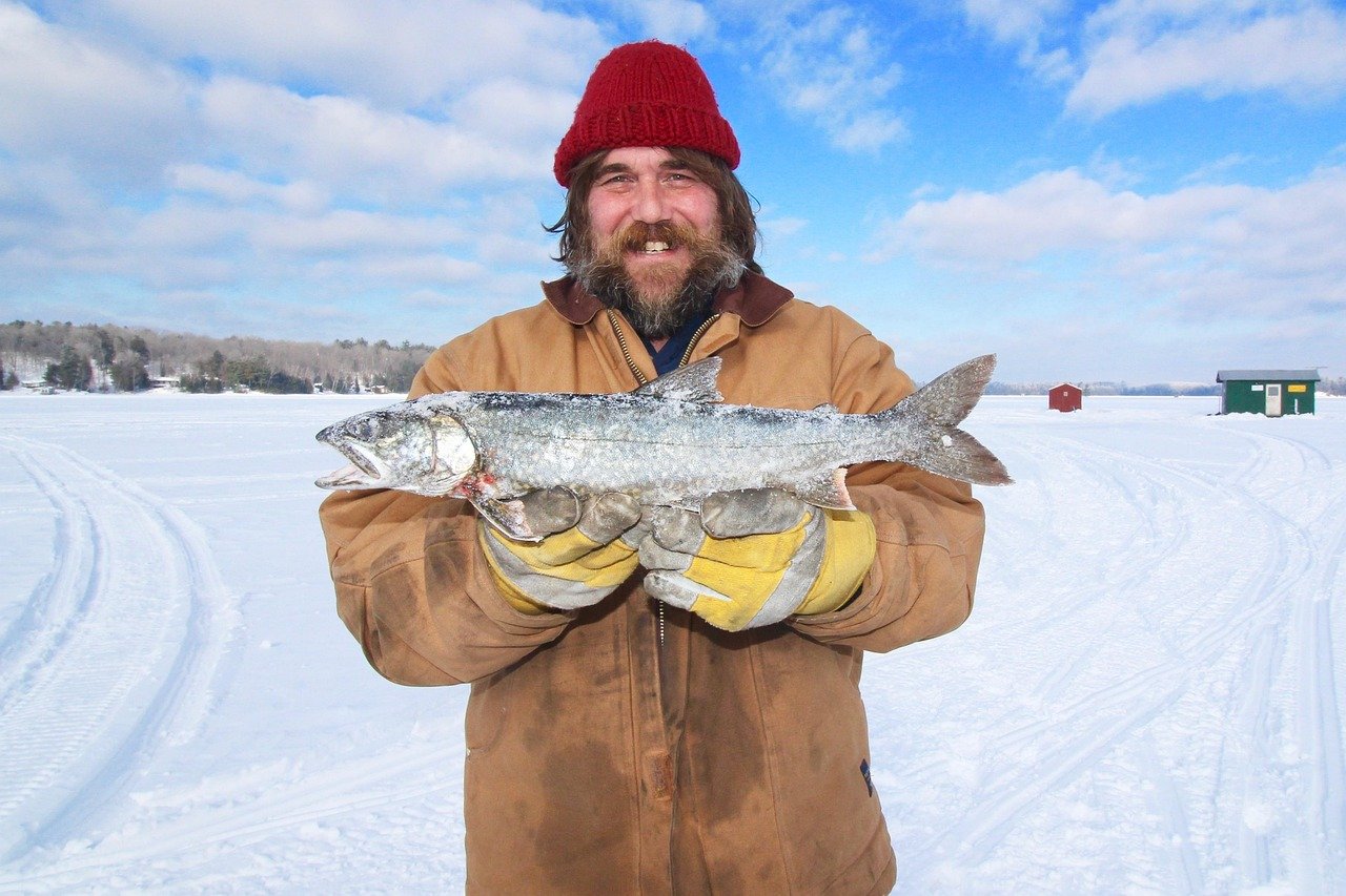 ice fishing, canada, trout, winter, outdoor, lake, cold, frozen, nature, blue fish, blue fishing, ice fishing, ice fishing, ice fishing, ice fishing, ice fishing