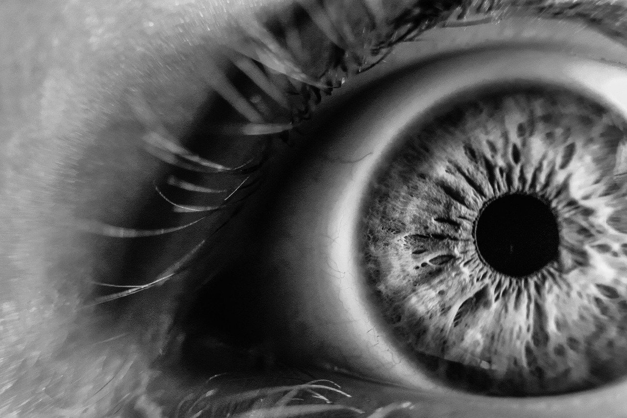 close up, eye, eye lashes, iris, pupil, retina, eyesight, vision, macro, monochrome, sight, black and white, eye, eye, eye, eye, eye