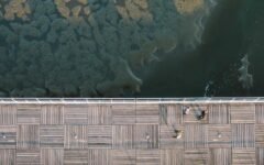 Best Robot Vacuum 2025 – Top Picks for Every Budget