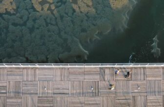 Best Robot Vacuum 2025 – Top Picks for Every Budget