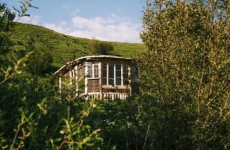 Bluetti AC500 Review: 30 Days Off-Grid Living in My Backyard