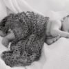 Burt's Bees Baby Organic Clothing 2026: Honest Take