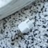 Best Dehumidifiers UK 2026 — Damp & Condensation Killers