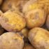 De beste Blenders and Mixers 2026